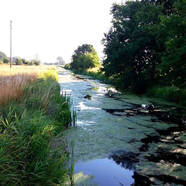 Flusslandschaft in der Altmark