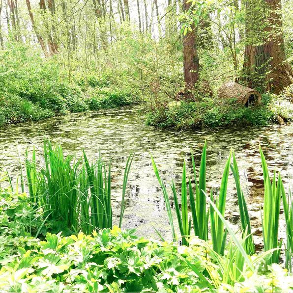 Wassergarten auf dem Parzivalhof