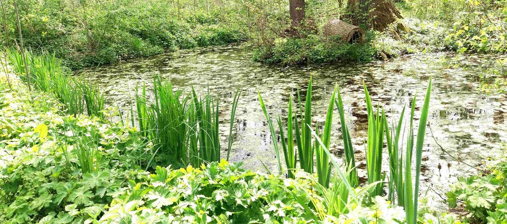 Wasserlandschaft im Garten der Göttin
