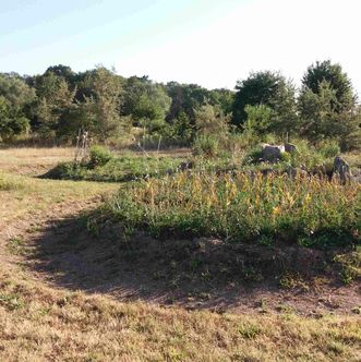 Garten der roten Göttin auf dem Parzivalhof